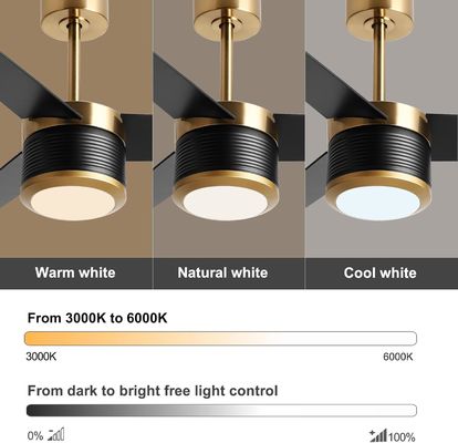 Ventilateur de plafond WIFI intelligent en blanc noir or 52 pouces pleine luminosité