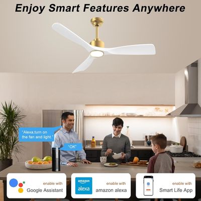 52 Ventilateur de plafond avec lumière ABS éteignable Blanc chaud Blanc naturel Blanc froid Blanc