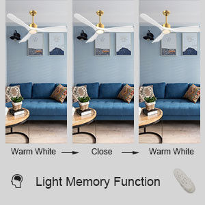 52 Ventilateur de plafond avec lumière ABS éteignable Blanc chaud Blanc naturel Blanc froid Blanc