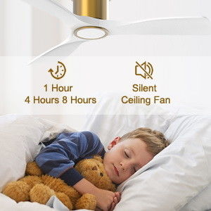 Ventilateur de plafond noir de 52 pouces avec moteur CC réversible léger