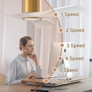 Ventilateur de plafond noir de 52 pouces avec moteur CC réversible léger