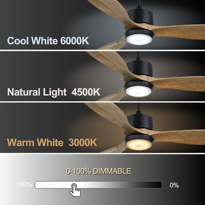 Ventilateur moderne de 52 pouces avec lumière pour une pièce de 12 pieds à 17 pieds