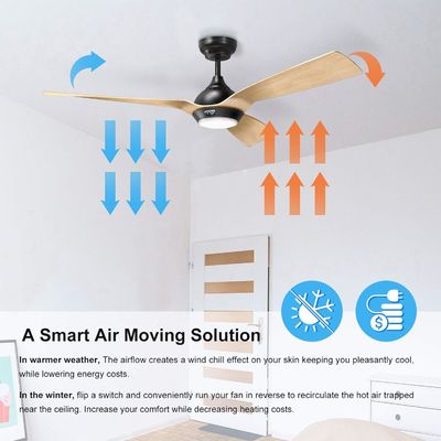 Ventilateur de plafond de 52 pouces conception rationalisée extérieure Downrod monté Ventilateur de plafond avec lumière