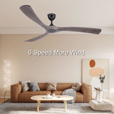 Économie d'énergie silencieuse 6 vitesses ventilateur de plafond intelligent avec lumière contrôlée par Alexa