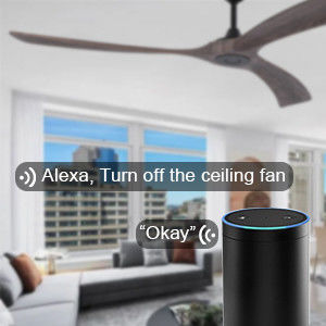 Économie d'énergie silencieuse 6 vitesses ventilateur de plafond intelligent avec lumière contrôlée par Alexa