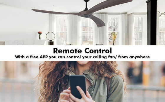 Économie d'énergie silencieuse 6 vitesses ventilateur de plafond intelligent avec lumière contrôlée par Alexa